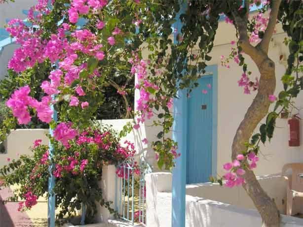 Castelia Bay Hotel Amoopi Exterior photo